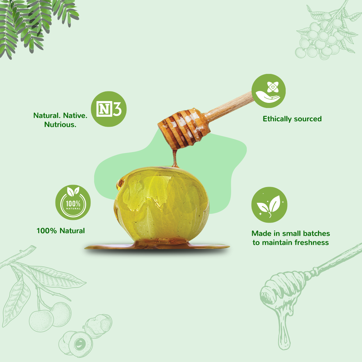 Saaral Honey Amla Murabba, Soaked in Natural Honey, 12 pcs Gift box , Green Gooseberry Murabba (300 g each box)