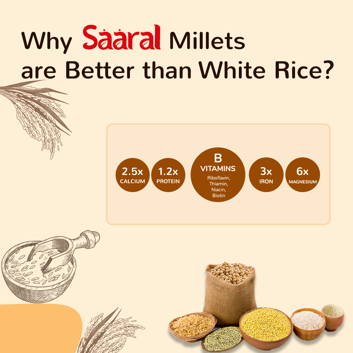 SAARAL Millets - Natural Grains Combo Pack of 3, Foxtail 500 g, Kodo 500 g, Little 500 g, Native Low GI Millet Rice