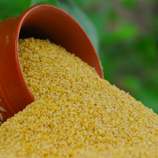 Foxtail Millet: The Sweet Solution for Diabetes Management
